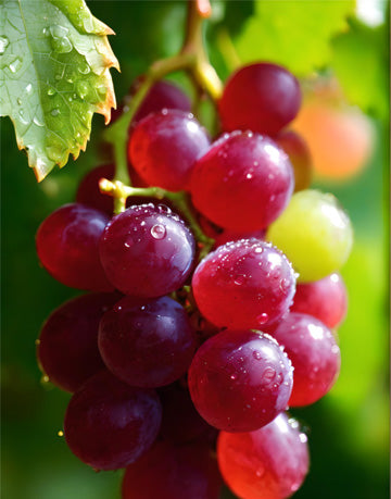 Grapes