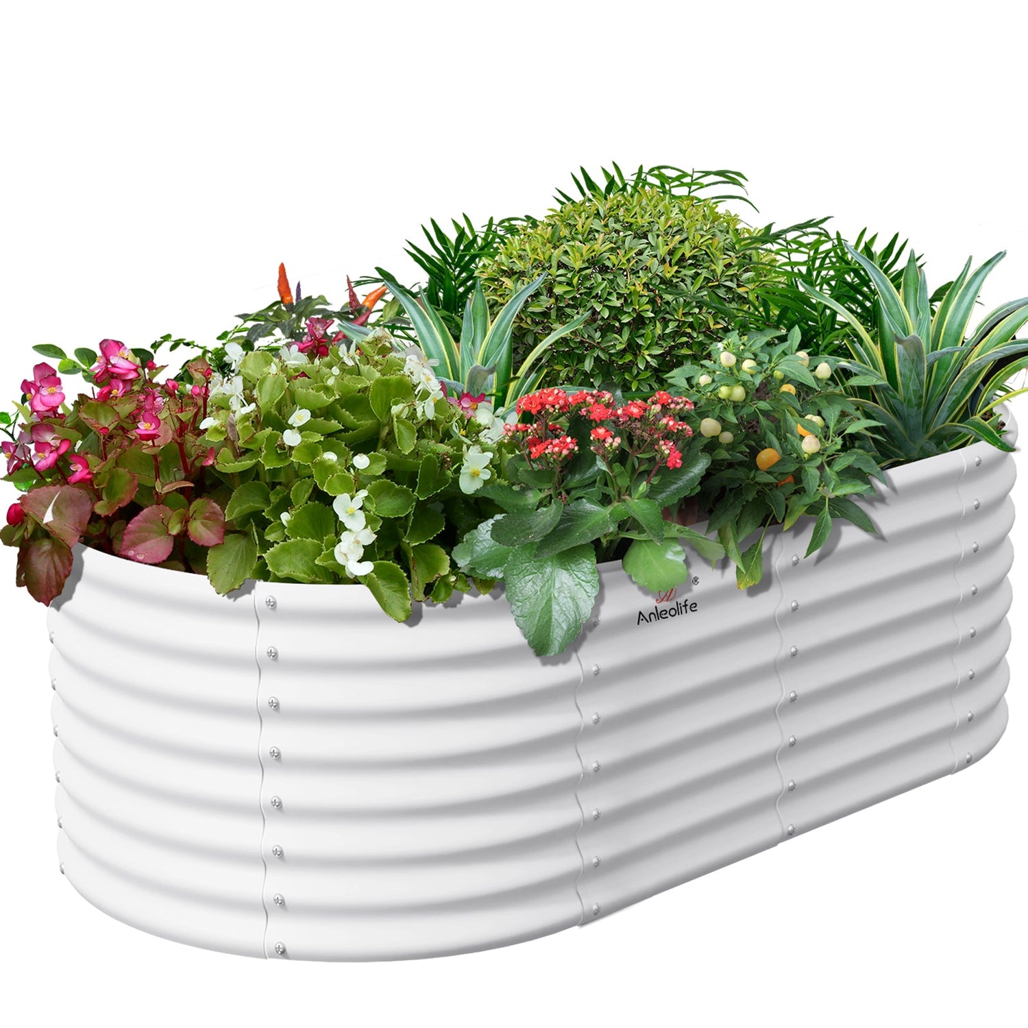 24" Extra Tall 6x3 ft Galvanized Steel Raised Garden Bed - Anleolife