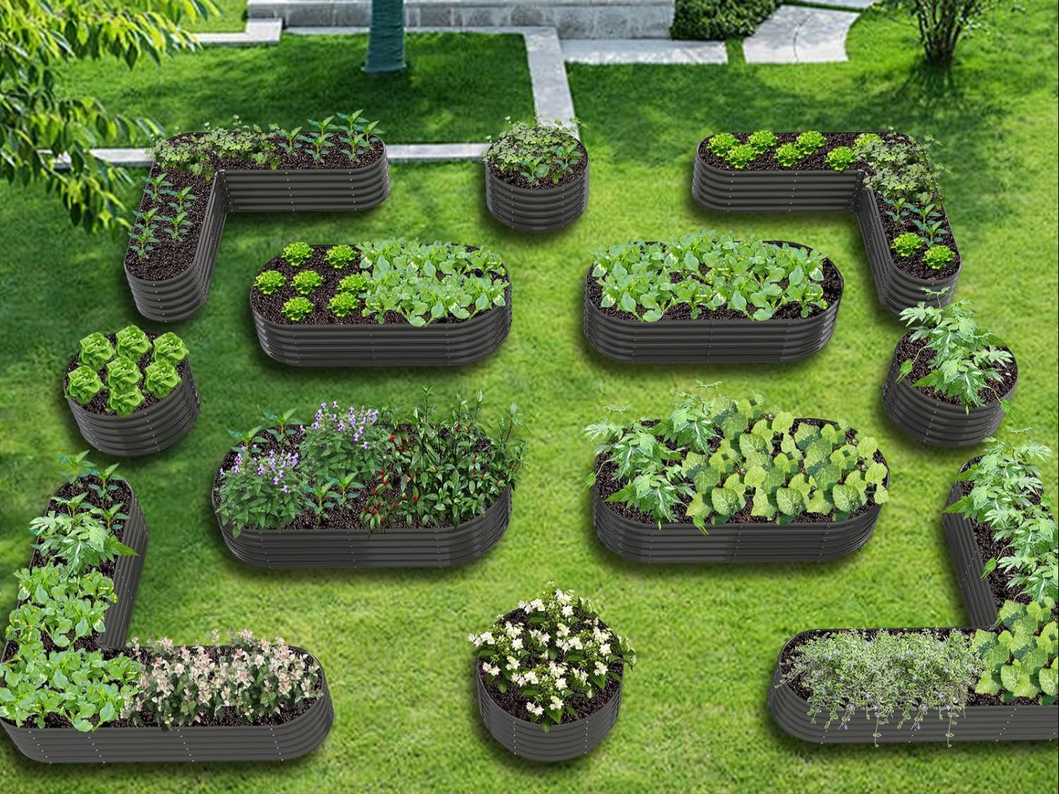 Vegetable garden with raised beds on a grassy lawn
