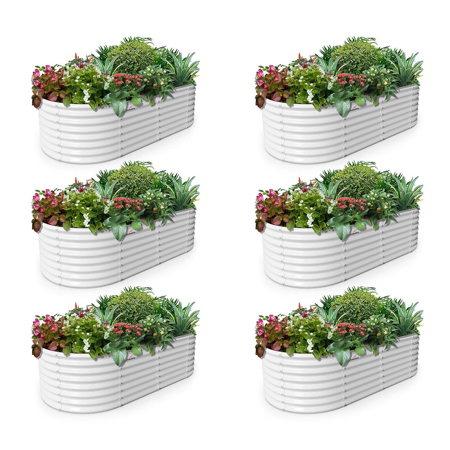24" Extra Tall 6x3 ft Galvanized Steel Garden Beds (Set of 6) - Anleolife