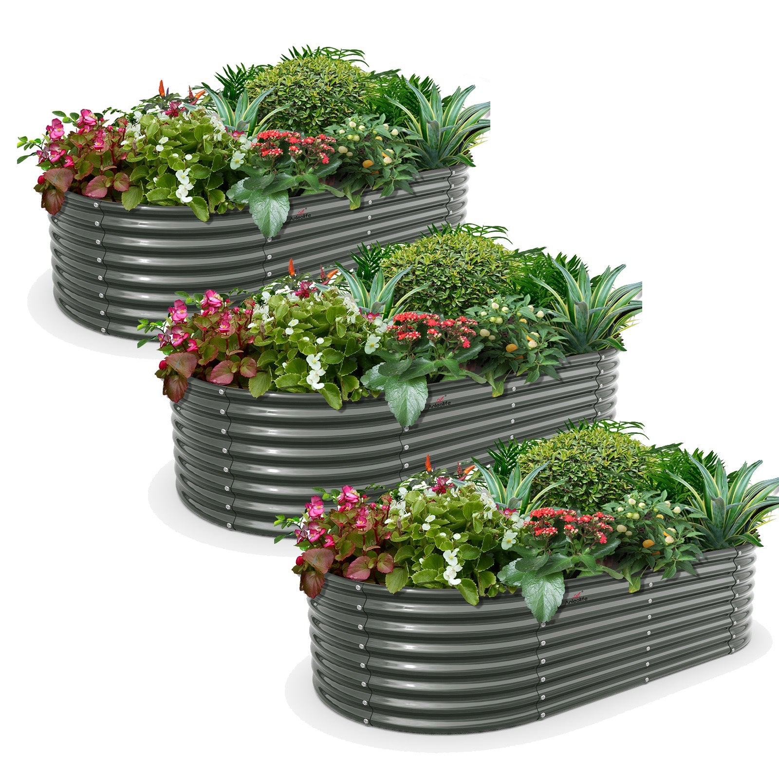 24" Extra Tall 6x3 ft Sturdy Raised Garden Beds (Set of 3) - Anleolife