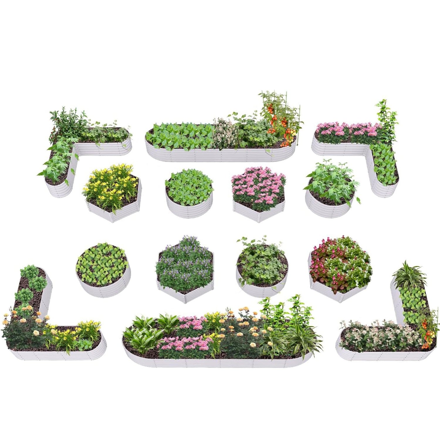 18" Tall Pre-Designed Garden Layout for Beginner Gardeners (Set of 14)
