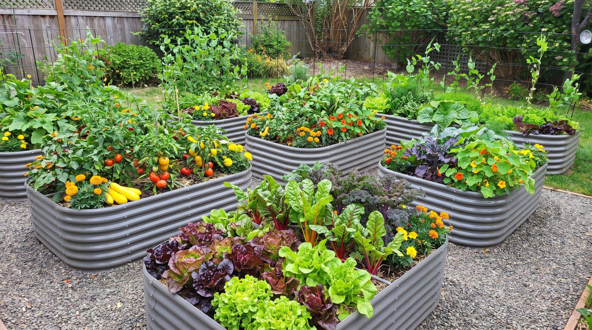 Best Ways to Improve Your Backyard on a Budget This Season