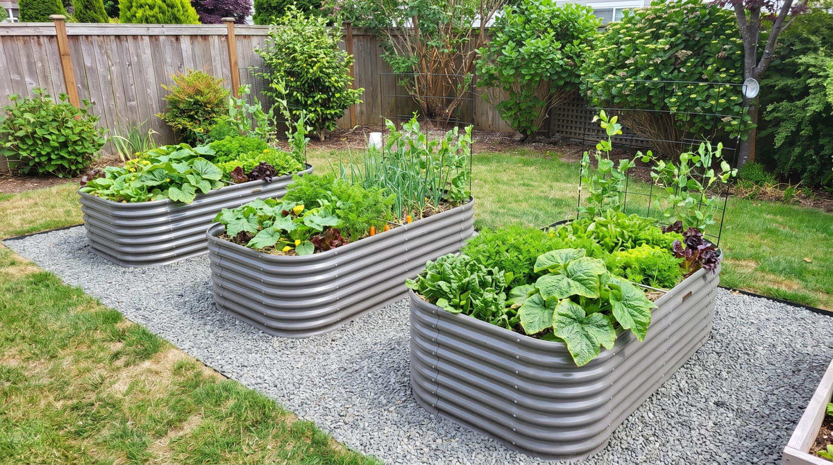 Smart Raised Bed Placement Ideas for Narrow or Oddly Shaped Yards