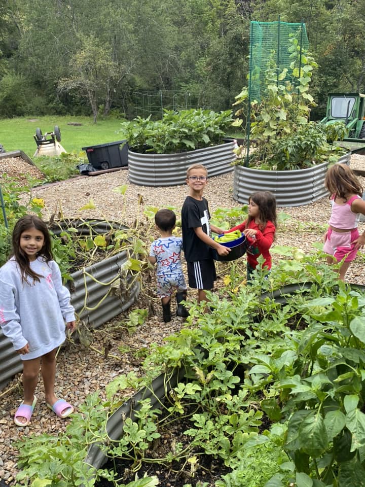 2025 Children’s vegetable plan