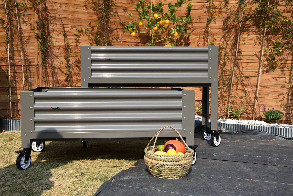 What to Budget for a Complete Backyard Garden Overhaul This Year