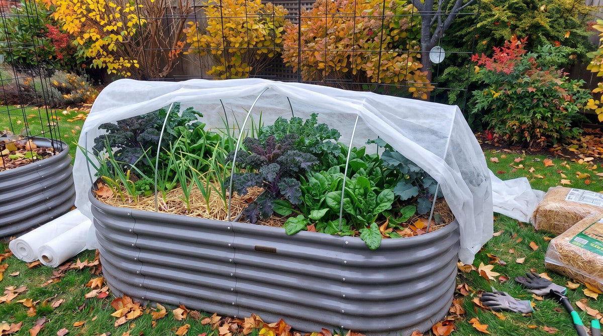 How to Prepare Your Raised Garden Bed for Cooler Temperatures Ahead