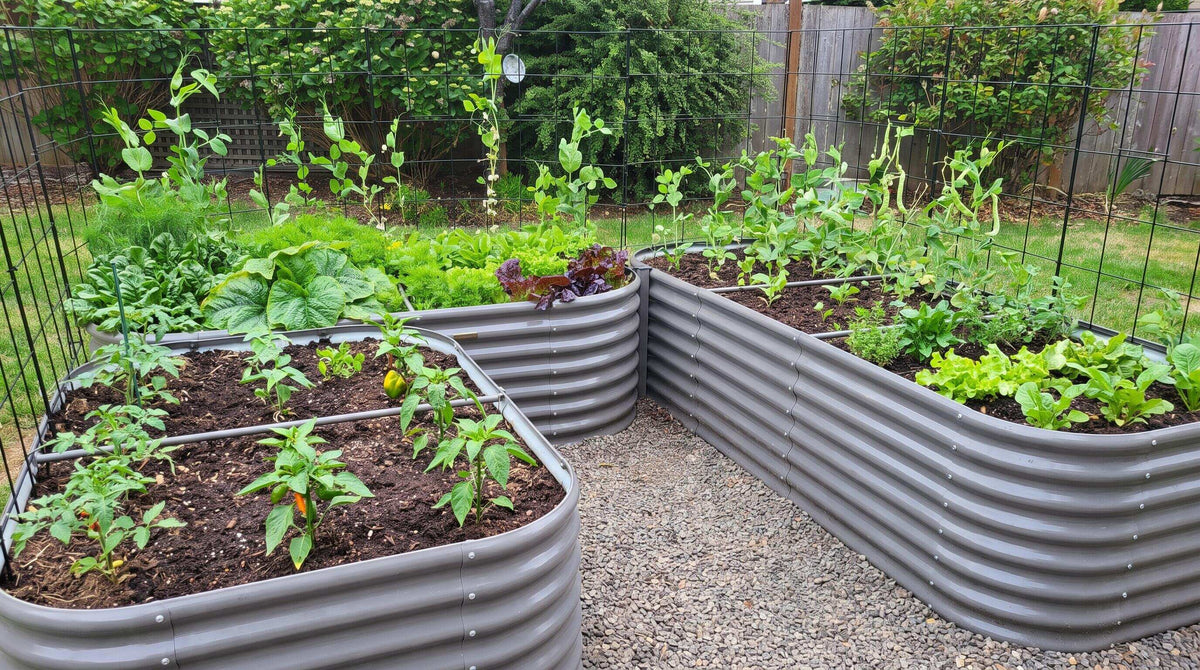 What to Know Before Investing in a Modular Raised Bed System This Year