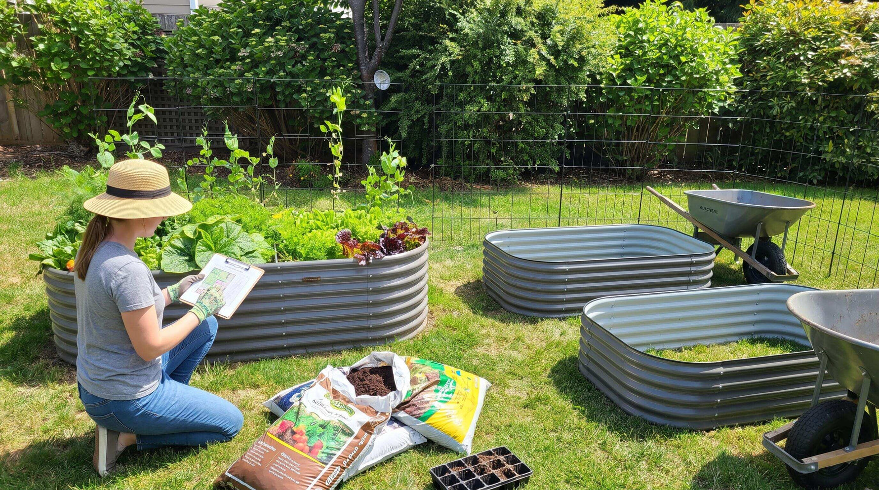 How to Plan Companion Planting Zones Across Multiple Raised Beds This Season