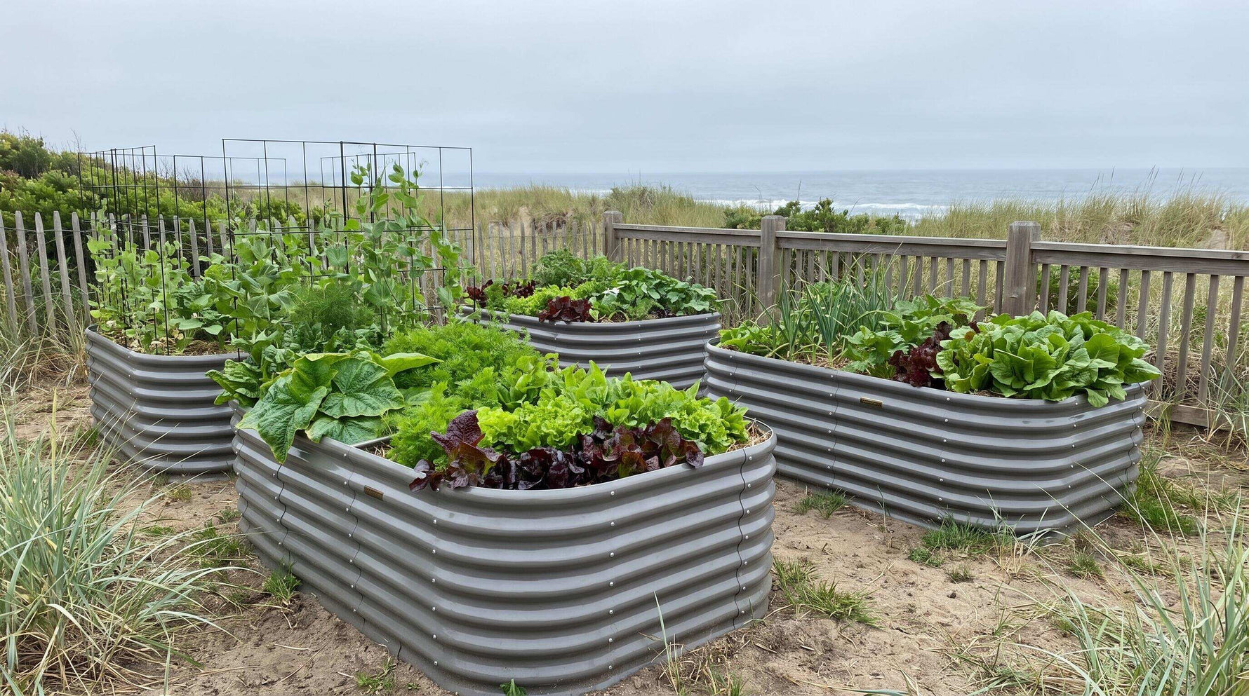 Choosing Rust-Resistant Garden Beds That Survive Coastal and Humid Weather