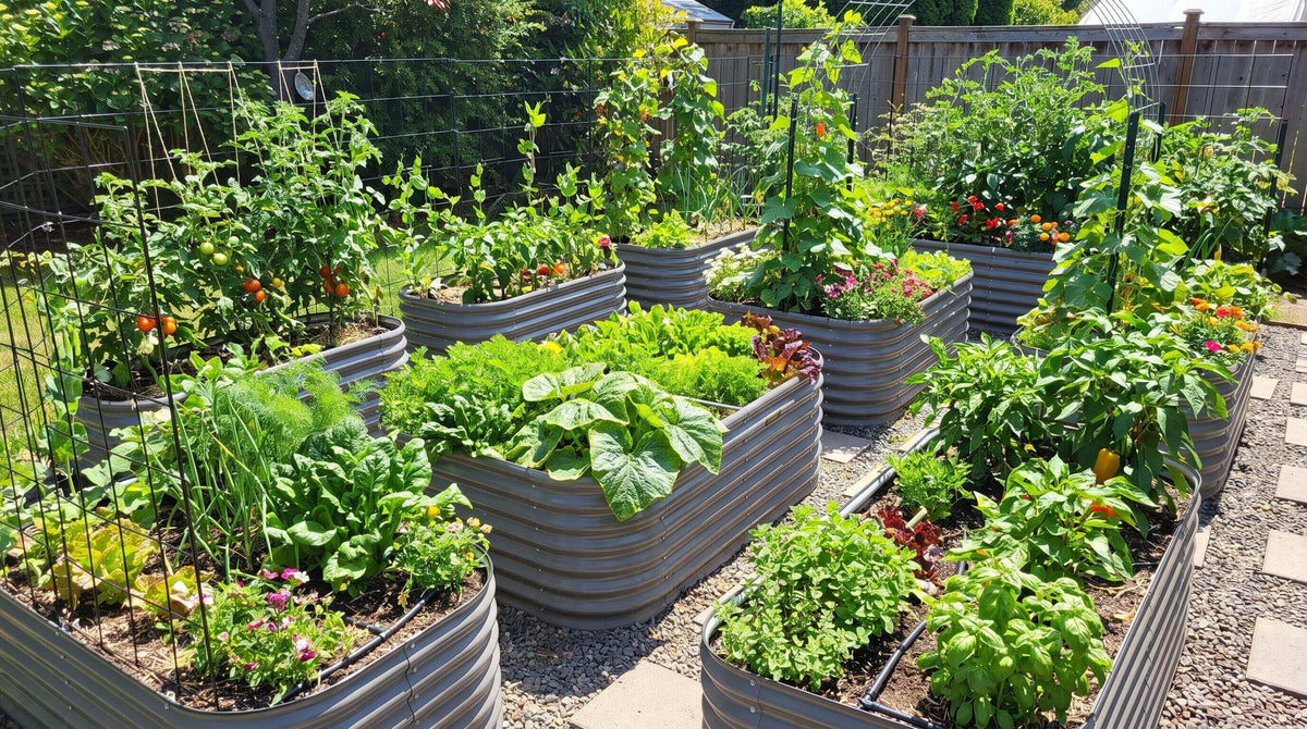 Maximizing Sunlight and Space in a Compact Backyard Garden Design for This Growing Season