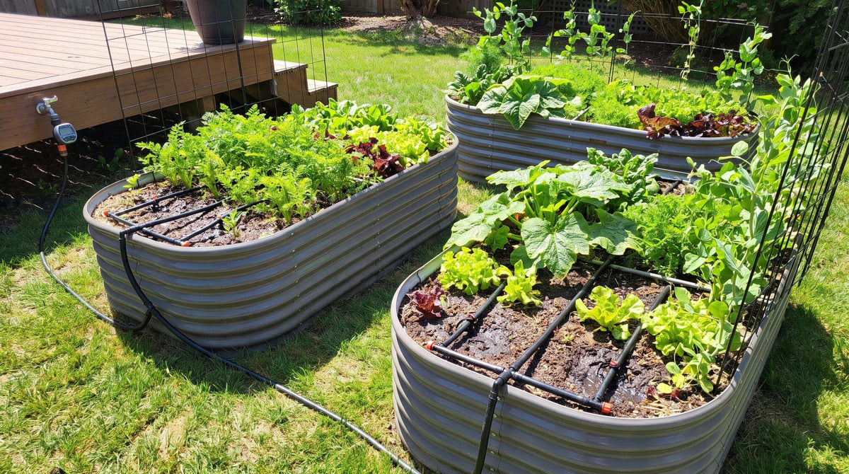 Best Drip Irrigation Systems for Raised Garden Beds This Growing Season