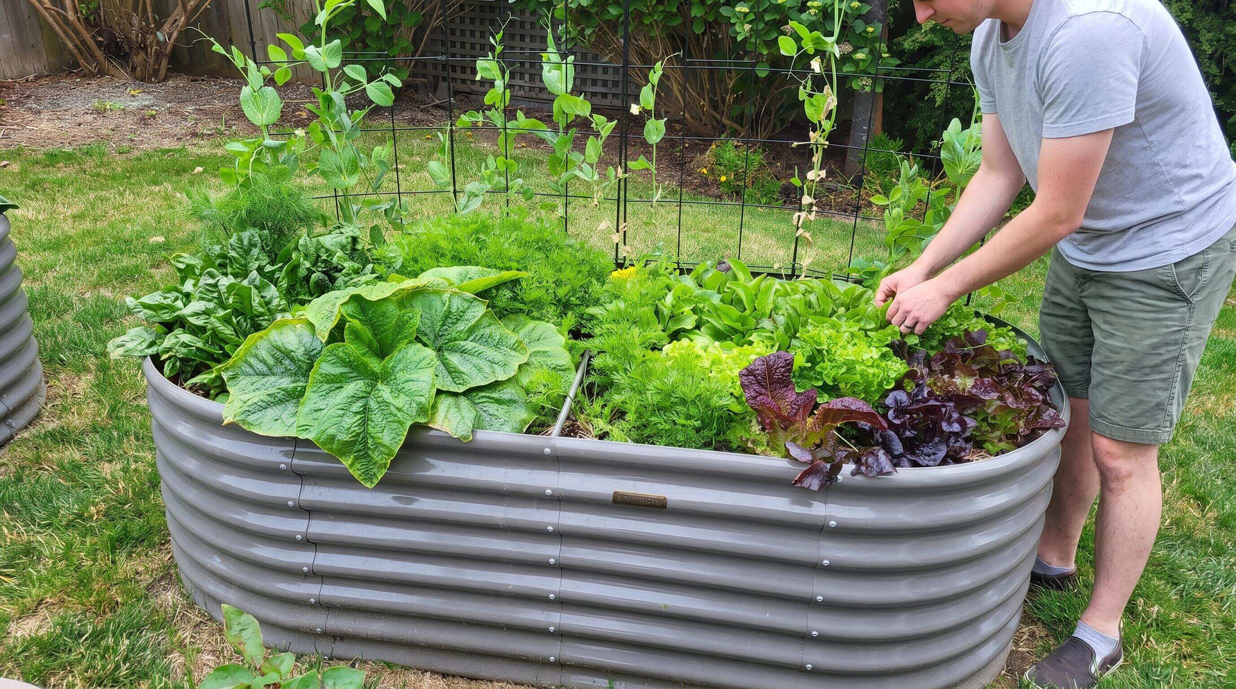 Ergonomic Garden Bed Design: Matching Height to Your Physical Needs