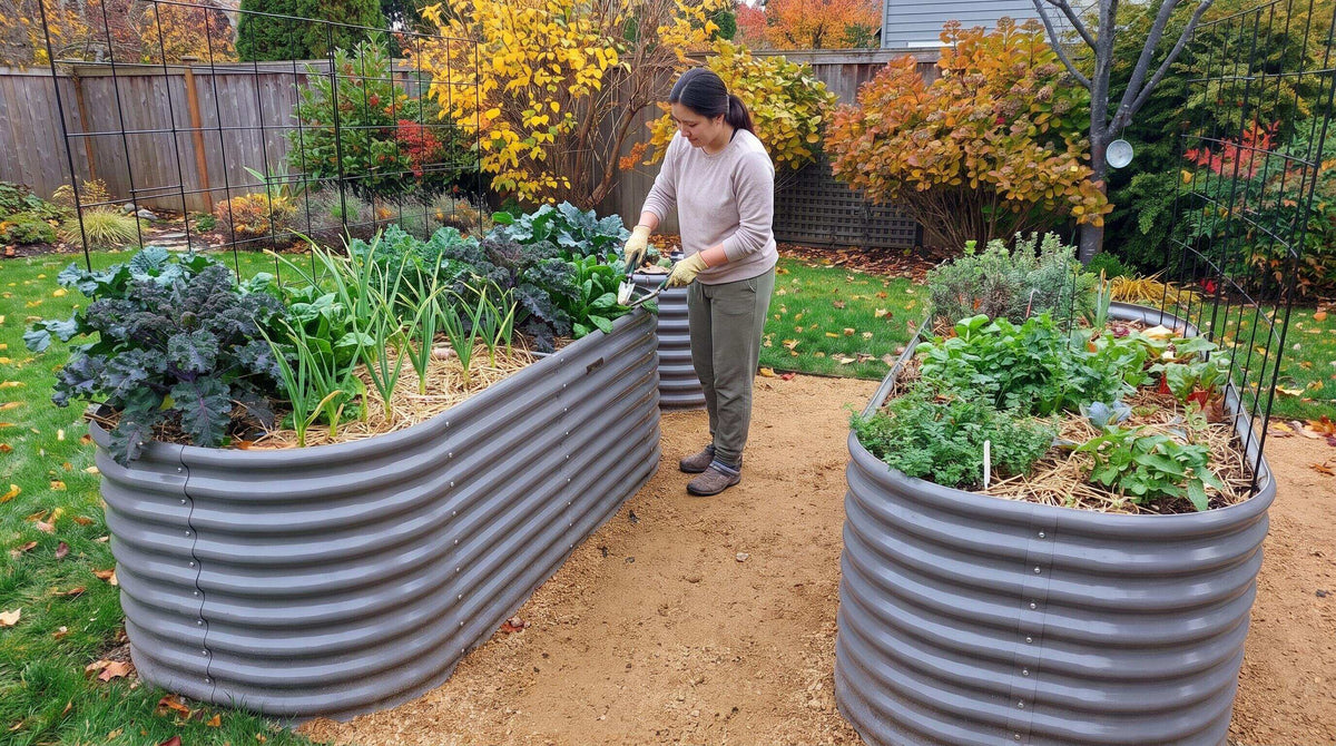 Elevated Raised Beds Explained: Standing-Height Options for Easier Gardening
