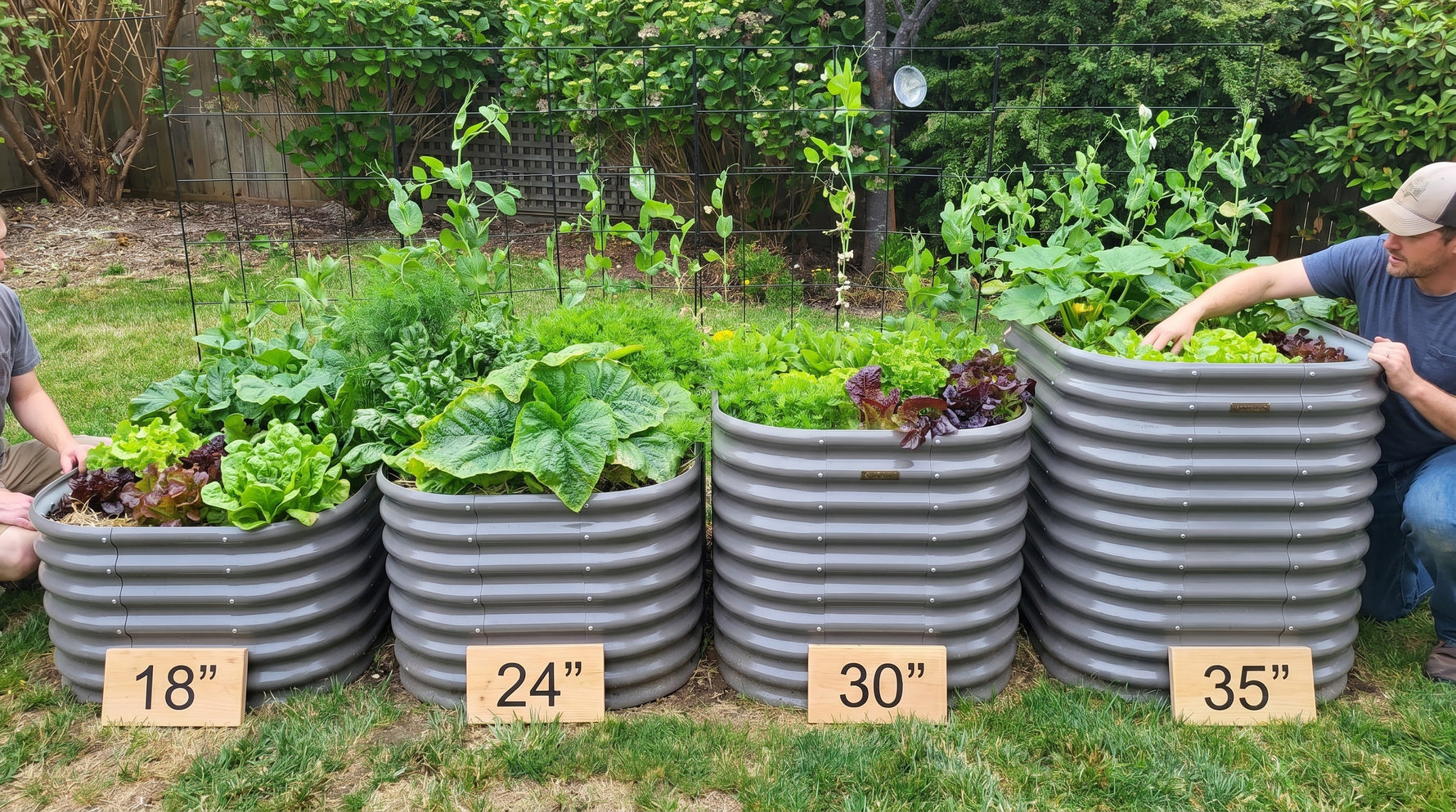 Raised Garden Bed Height Guide: 18", 24", 30", or 35" — Which Is Right for You?