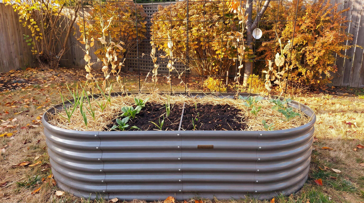 How to Maintain Galvanized Steel Raised Beds for Long-Term Durability This Fall