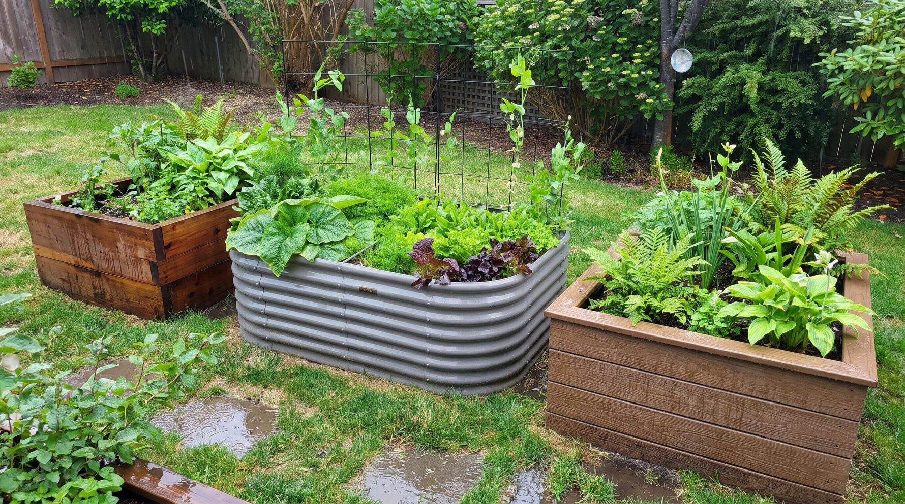 Best Raised Garden Bed Materials for Humid Climates and Rainy Regions