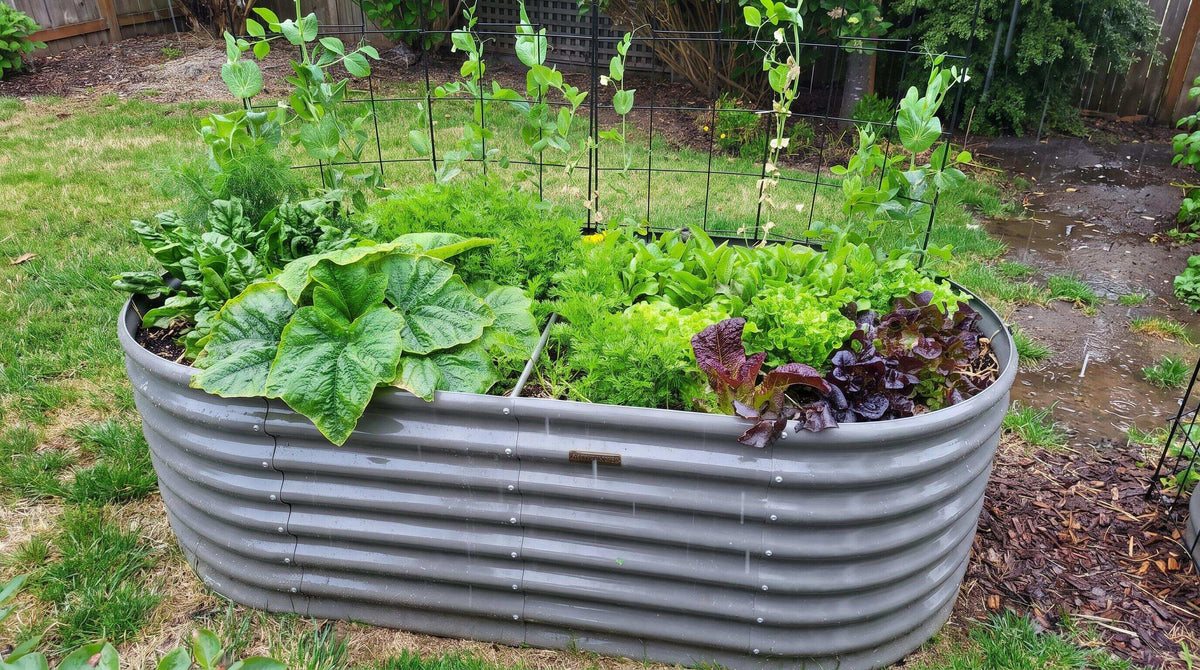 How to Prevent Rust in Raised Garden Beds Placed in Wet, Rainy Regions