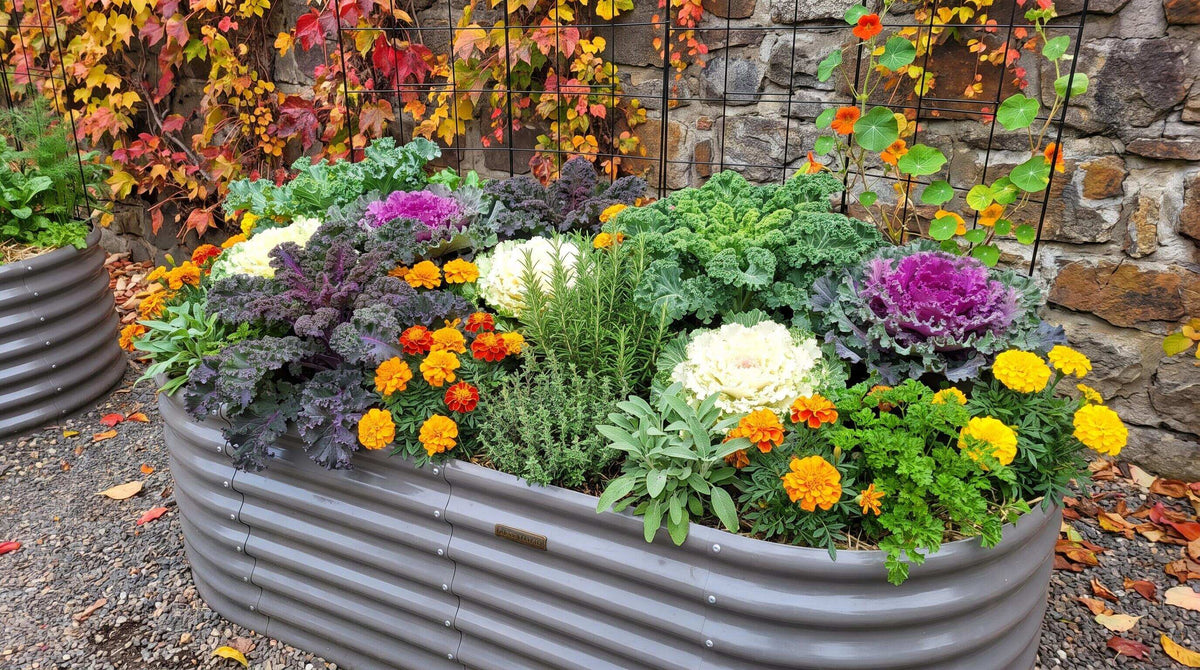 Choosing Companion Plants That Thrive Together in Raised Beds This Fall