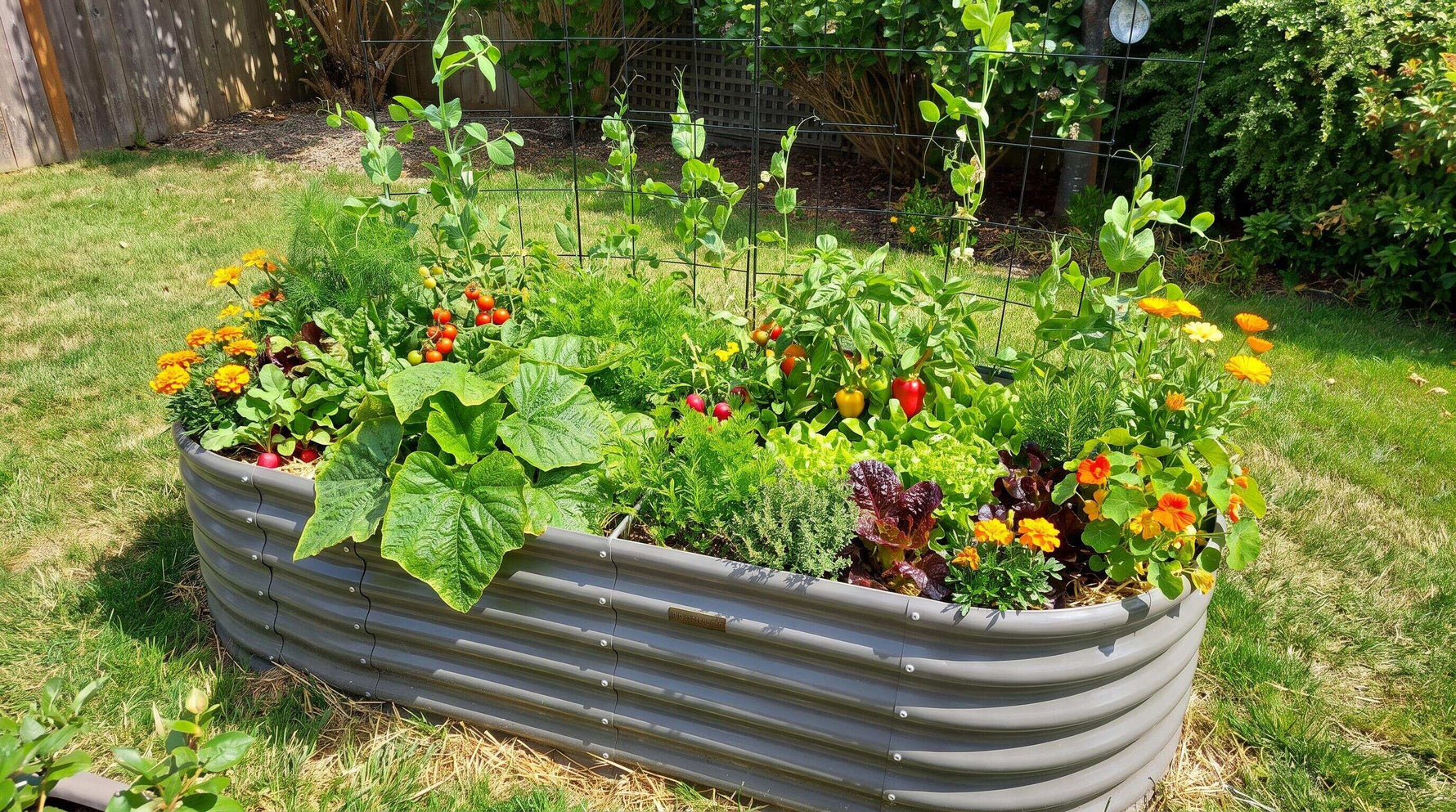 How to Configure a 4x8 Raised Bed for Vegetables, Herbs, and Flowers