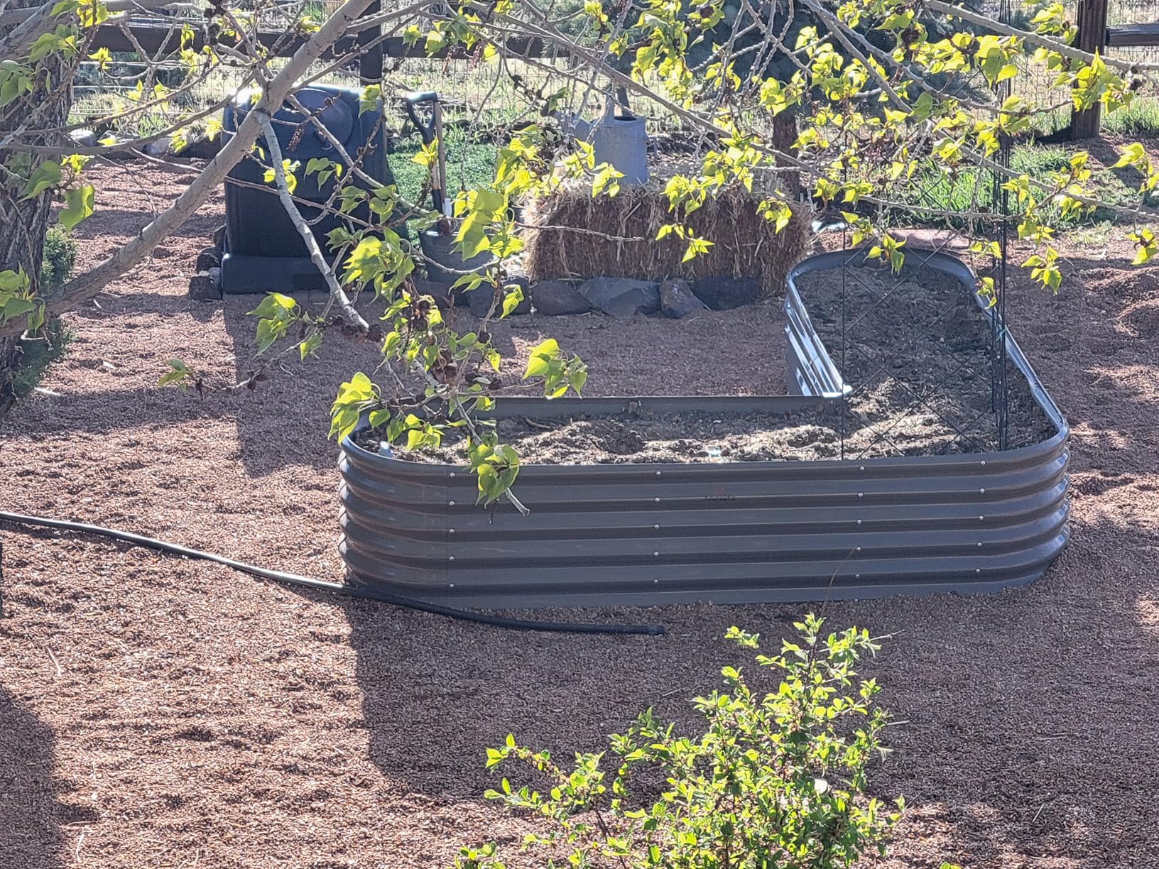 Watering Raised Garden Beds in June Heat: Tips for Conserving Moisture