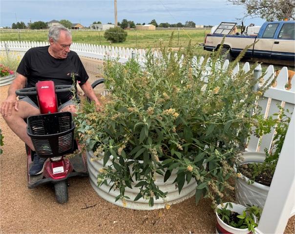 Why Invest in a High-Quality Elevated Garden Bed?