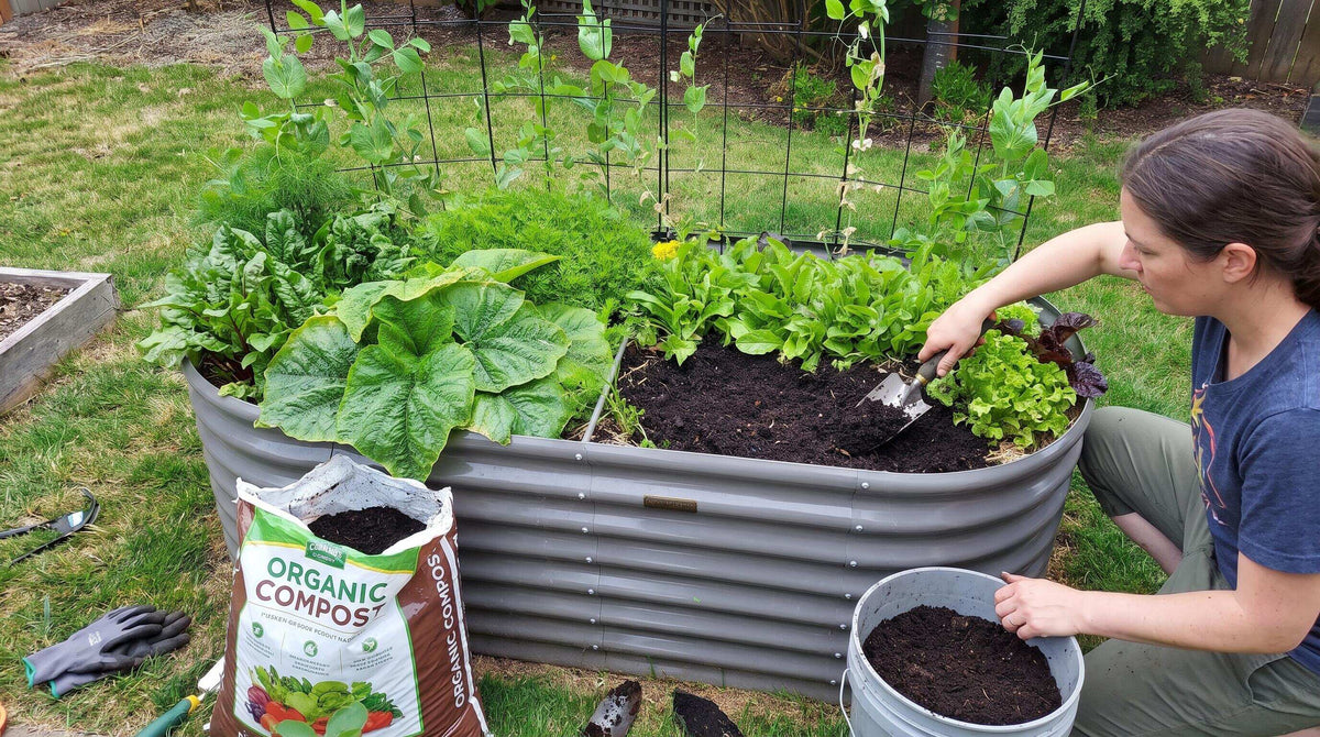What Size Raised Garden Bed Is Best for New Gardeners This Season