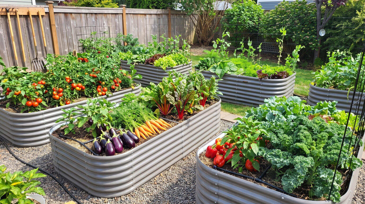 Best Layout for a Backyard Vegetable Garden This Growing Season