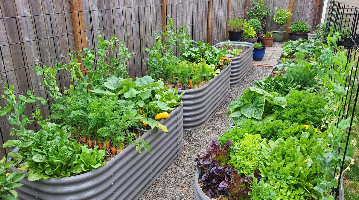 Best Raised Garden Beds for Small Spaces and Narrow Yards
