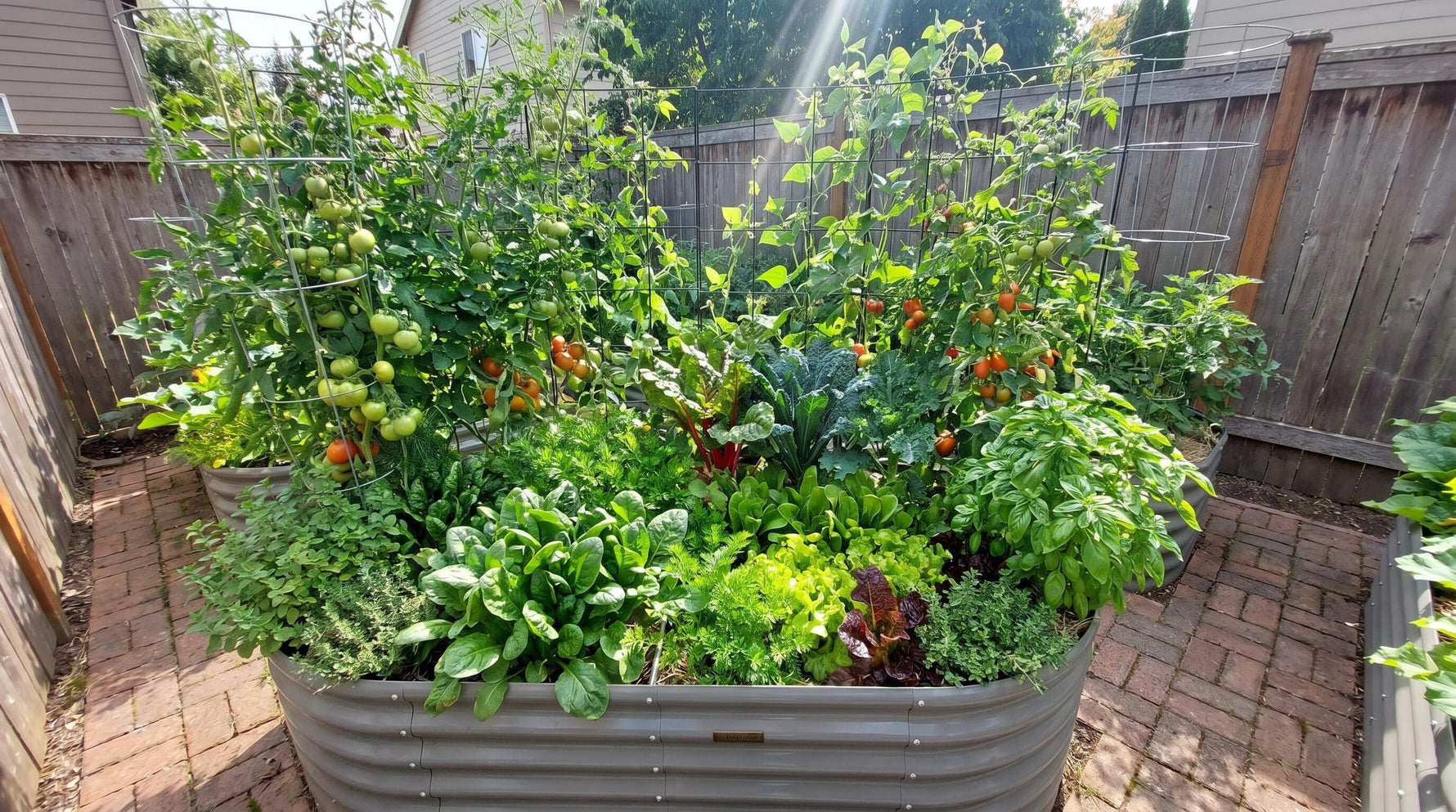 Best Compact Raised Garden Bed Structures for Tiny Backyards and Patios