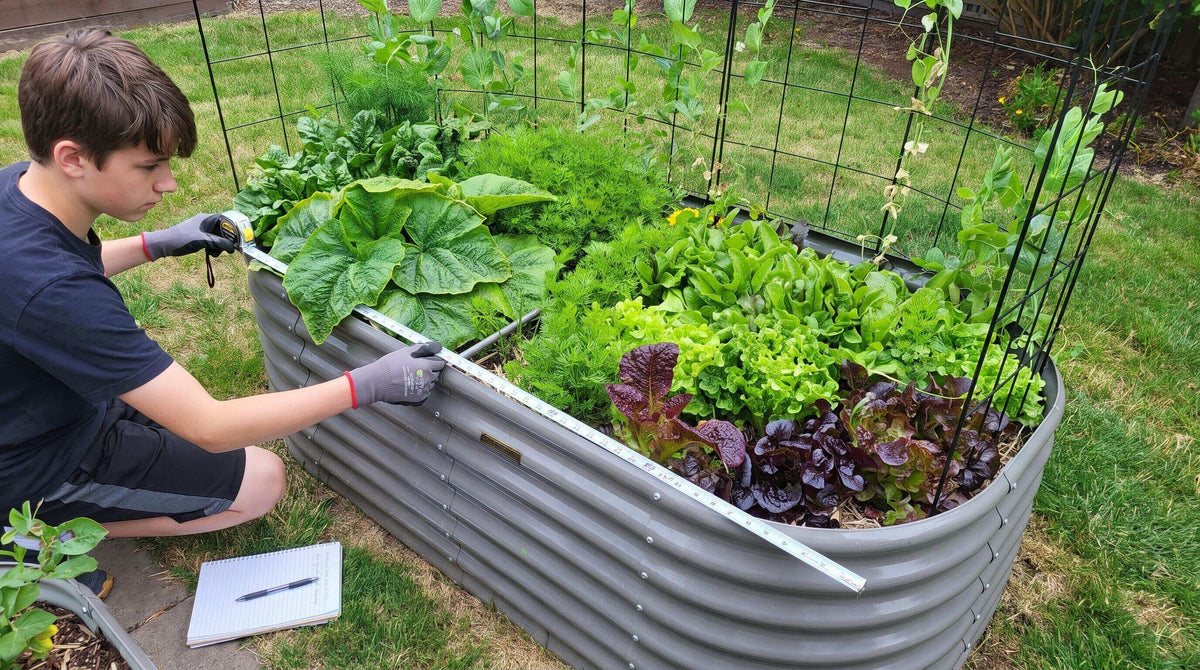 Questions to Ask Before Buying a Raised Garden Bed Kit Online for This Fall