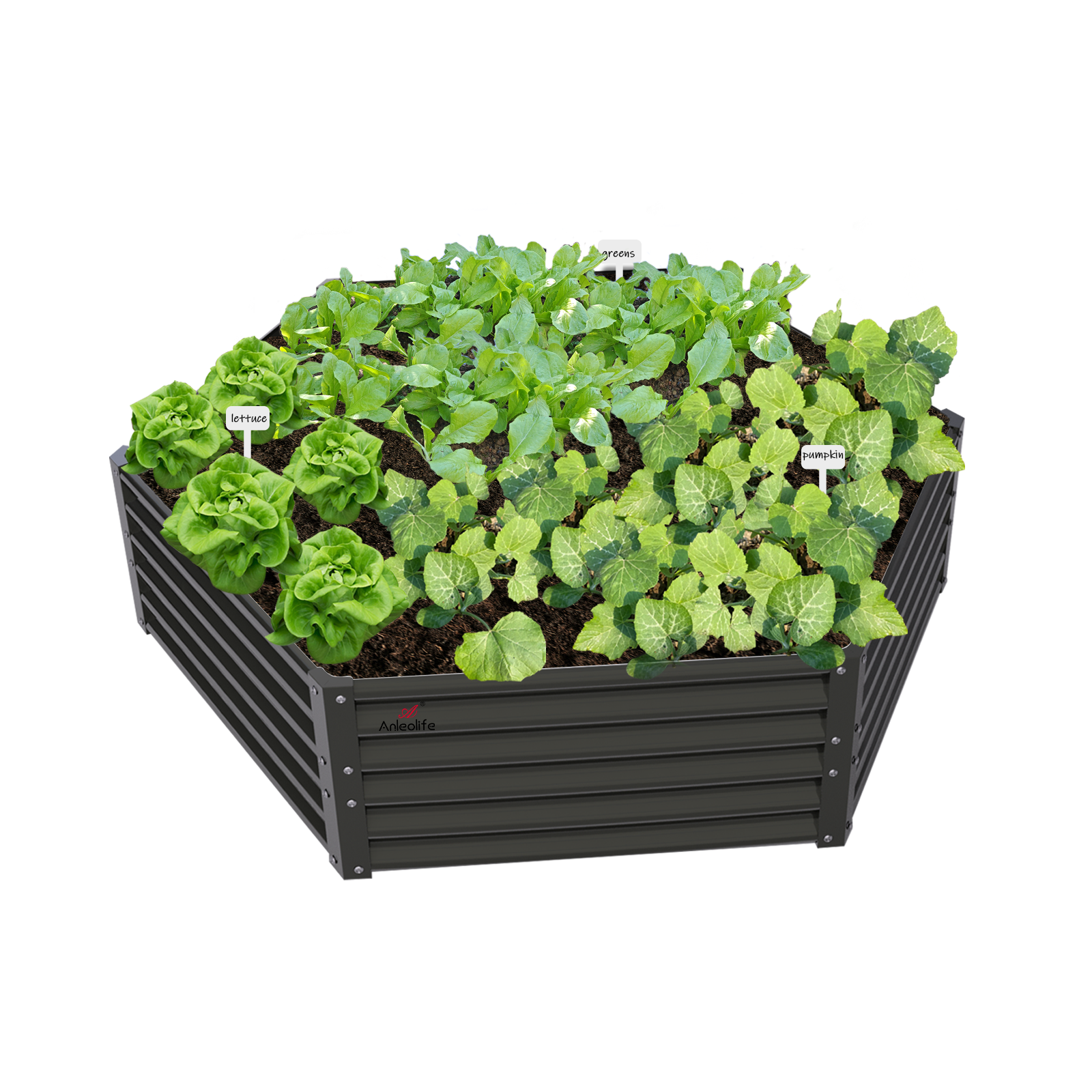 Hexagon Raised Garden Beds - Anleolife