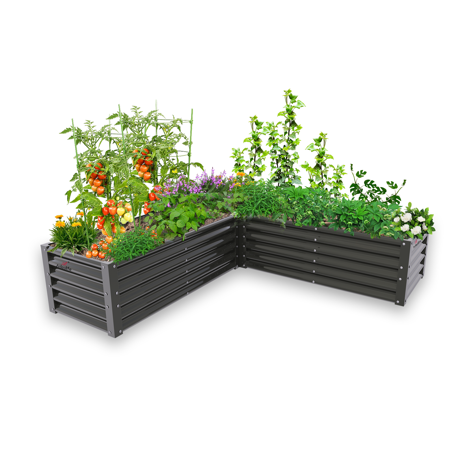 L-shape Garden Beds - Anleolife
