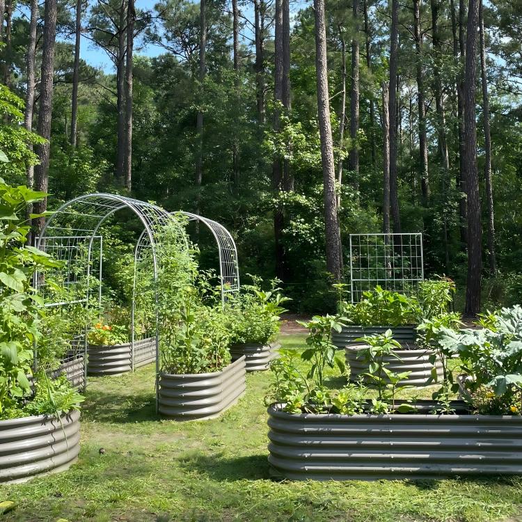 Raised Garden Bed Bundles