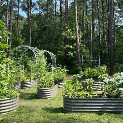 Raised Garden Bed Bundles