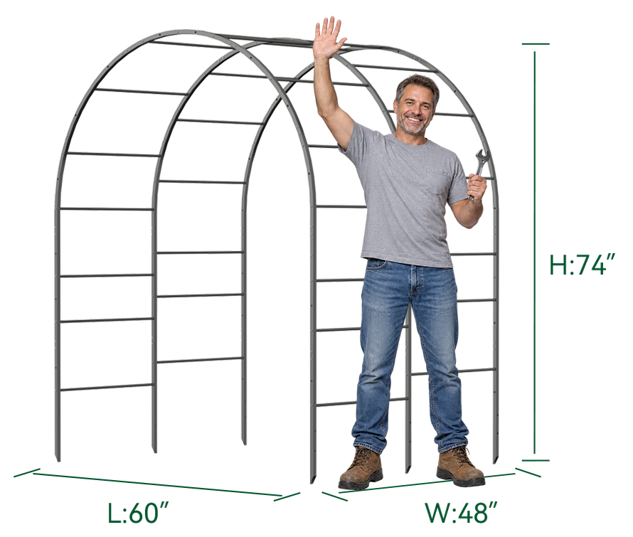 Garden arch trellis dimensions