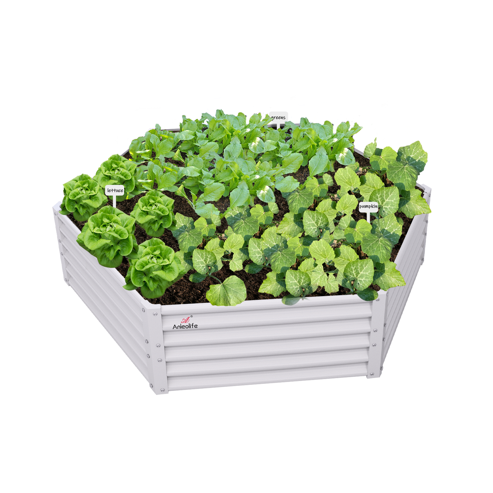 70x60x18in White Hexagon Galvanized Raised Garden Beds Outdoor, Anti-Rust & Easy-Setup