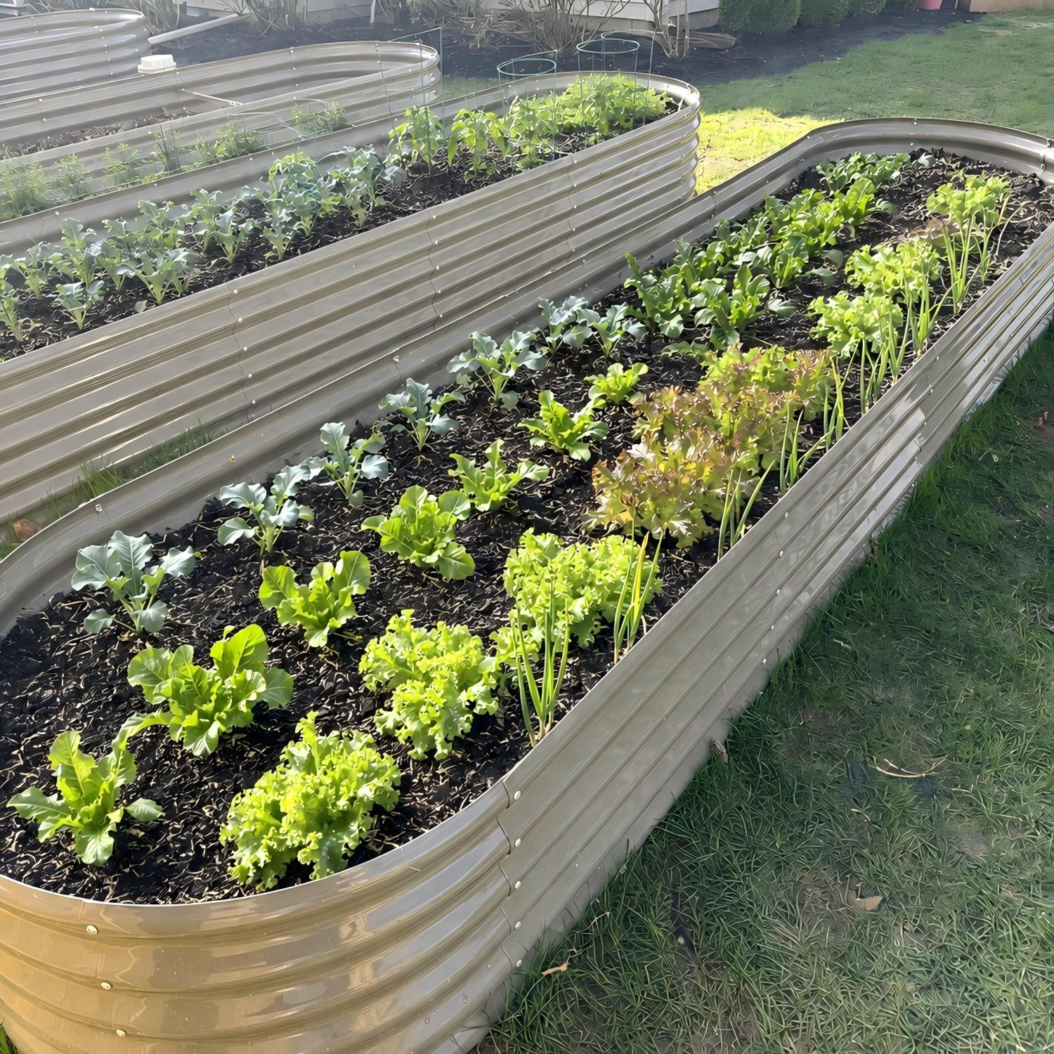18" Tall 12x3 ft Galvanized Steel Raised Garden Beds (Set of 6)