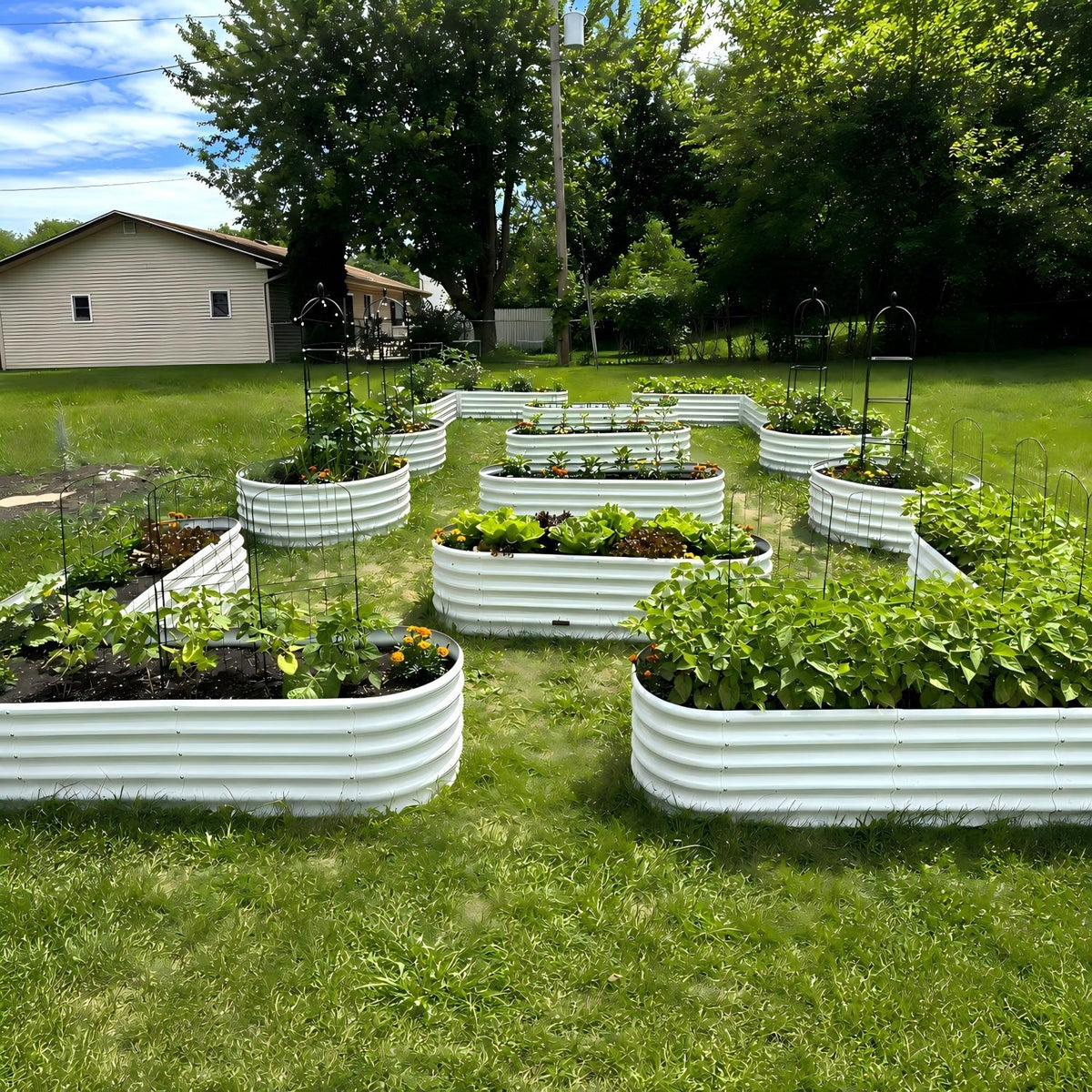 A backyard garden layout with multiple white corrugated metal raised beds arranged on a green lawn, with trees, a house, and a utility pole in the background. 