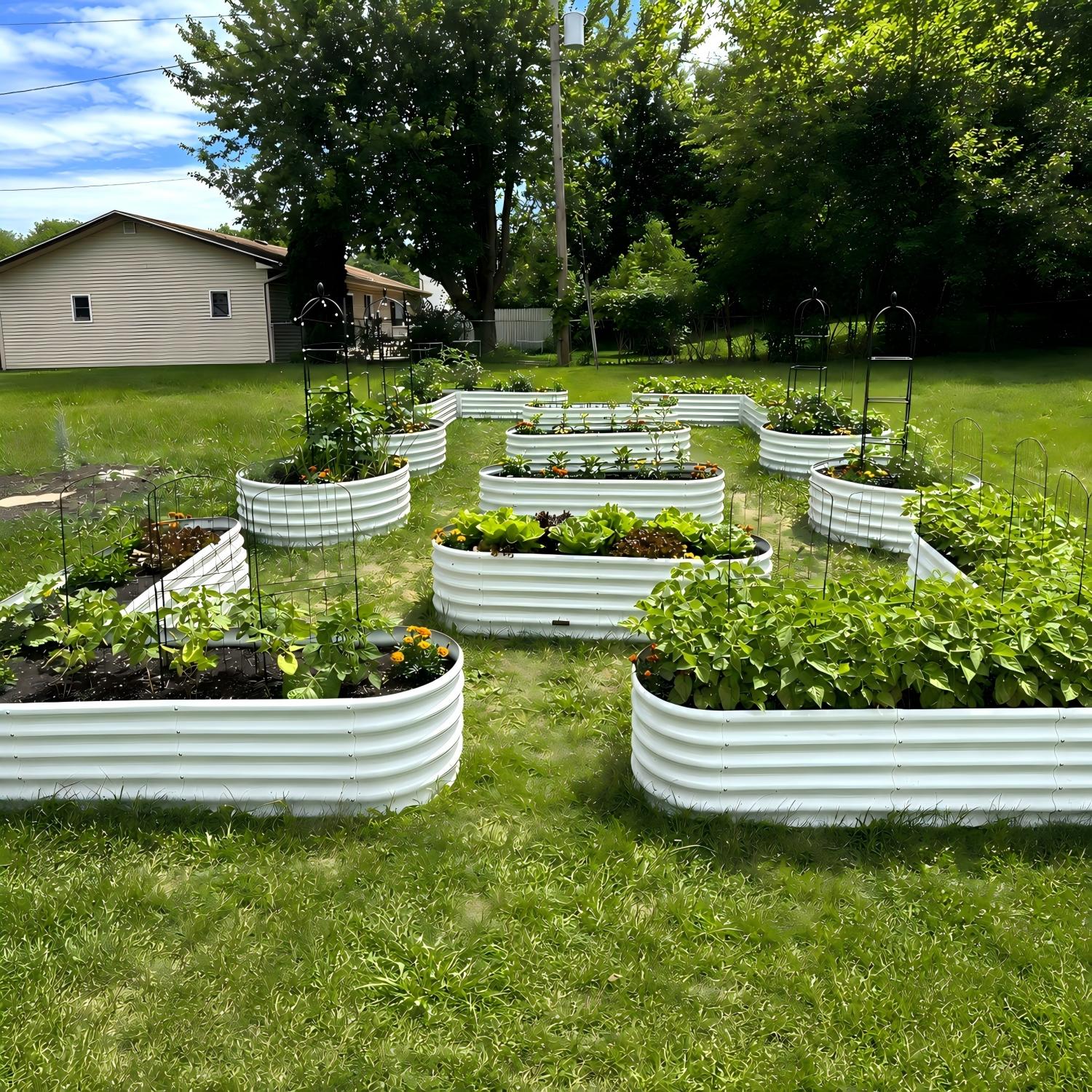 A backyard garden layout with multiple white corrugated metal raised beds arranged on a green lawn, with trees, a house, and a utility pole in the background. 
