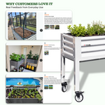 Raised garden bed with wheels and plants, shown in various settings with customer feedback text. 