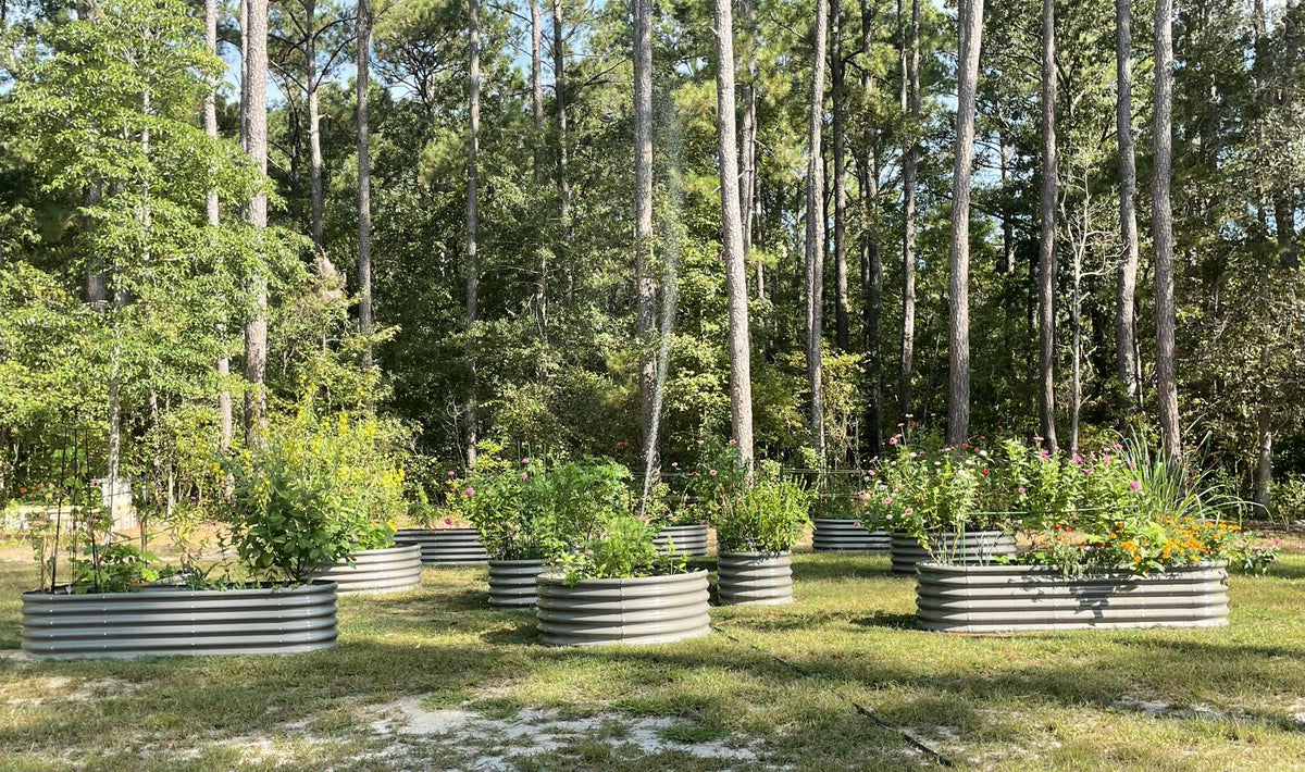 Metal planters with plants in a forest setting