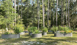 Metal planters with plants in a forest setting
