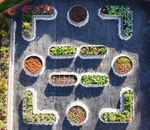 Aerial view of 18" Tall Casual Garden Layout for New Homeowners (Set of 12) 