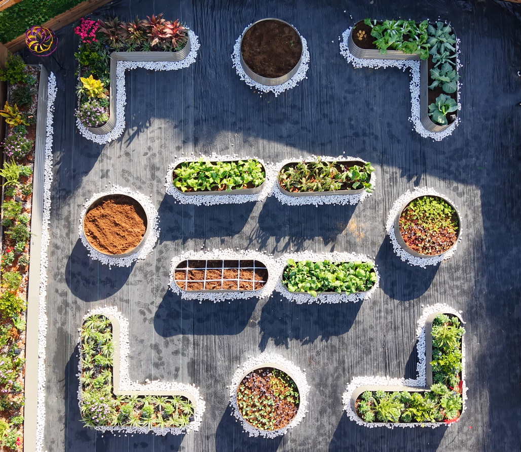 Aerial view of 18" Tall Casual Garden Layout for New Homeowners (Set of 12) 