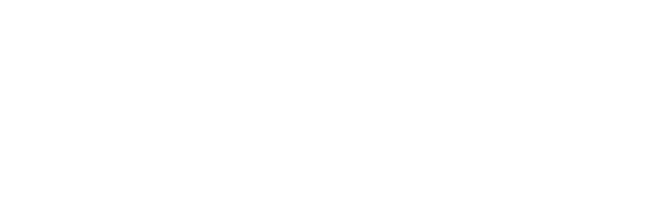Anleolife