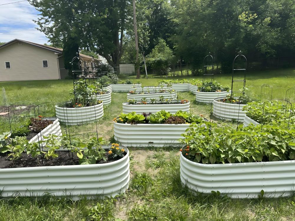 Chicken tunnel in a backyard