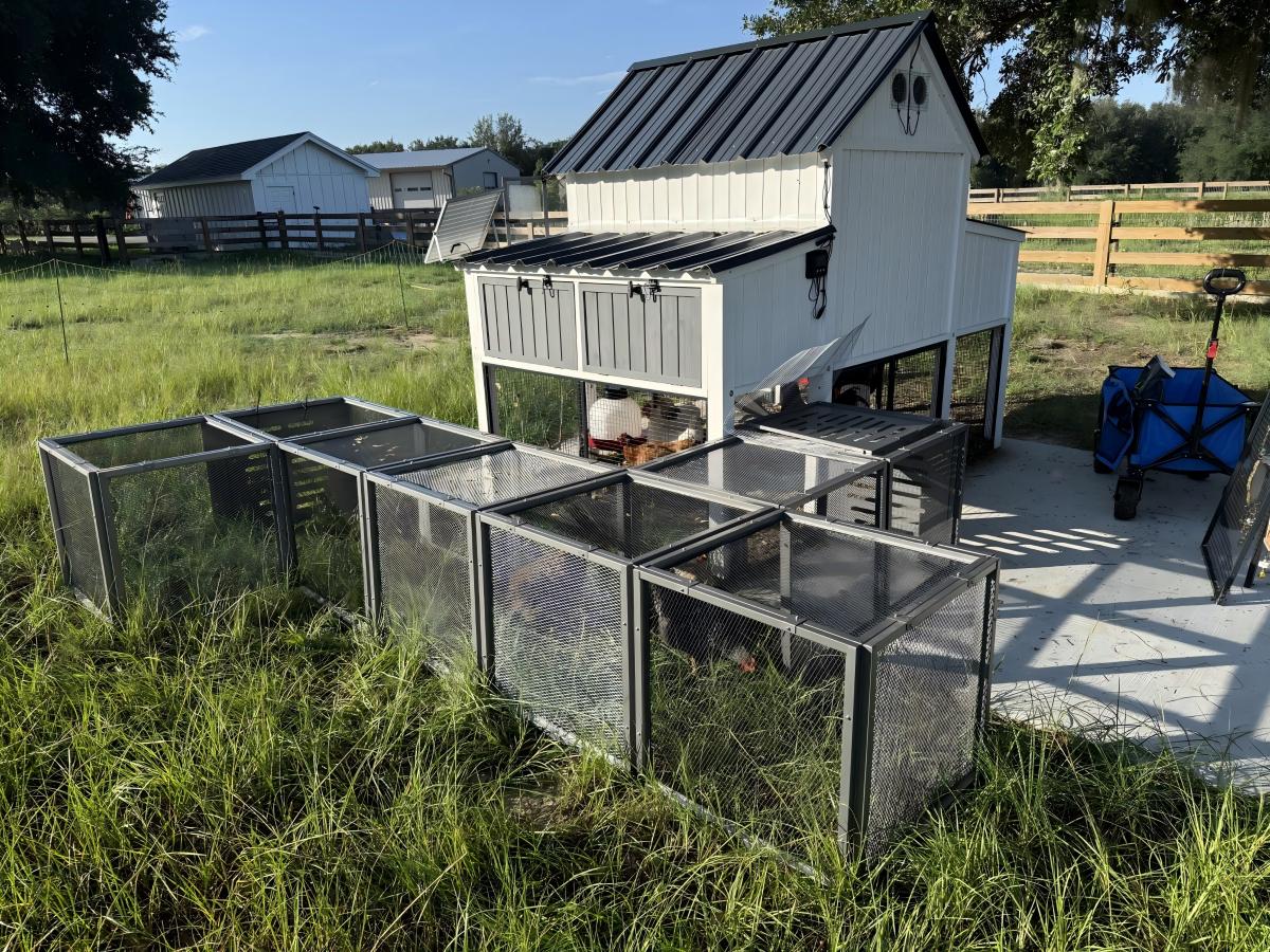 Chicken coop run extension in a sunny backyard