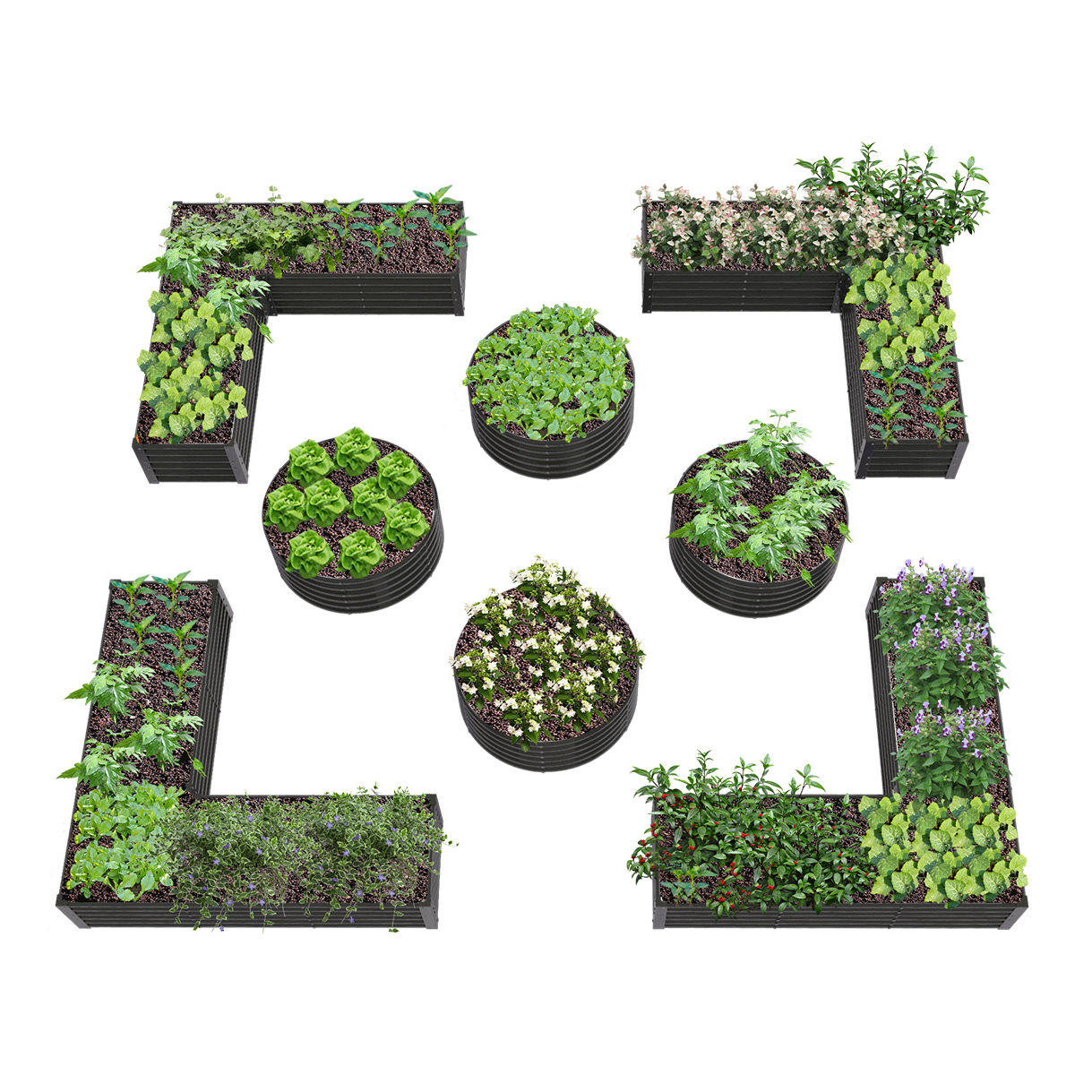 18" Tall Curated Garden Layout for Family Fun (Set of 8) - Anleolife 