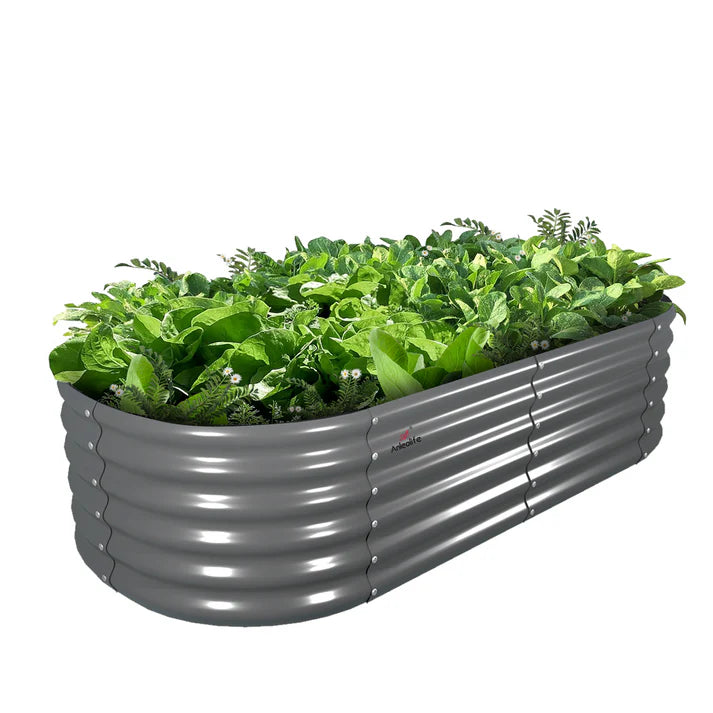 Metal raised garden bed with green plants on a white background